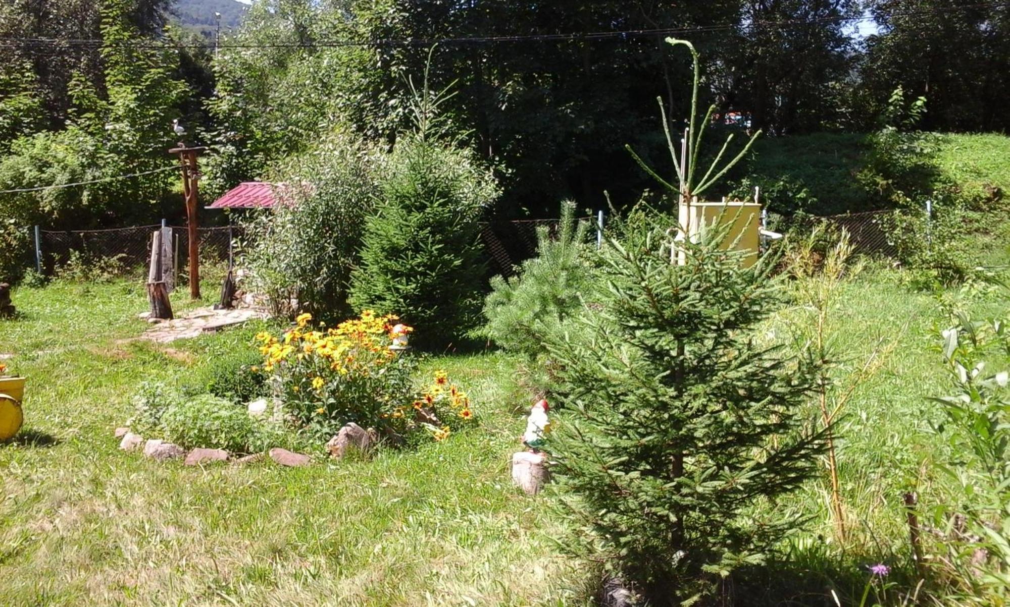 U Pana Ivana Yaremtche Chambre photo